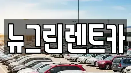 경북 칠곡군 지천면 렌트카 전문 뉴그린렌트카