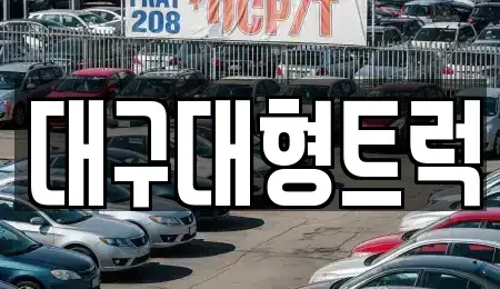 경북 칠곡군 지천면 중고차매매 전문 대구대형트럭