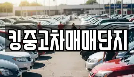 경북 칠곡군 지천면 중고차매매 전문 킹중고차매매단지