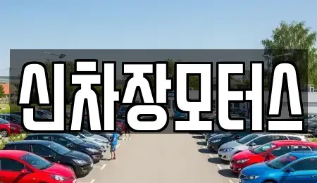 경북 포항시 남구 송내동 중고차 전문 신차장모터스