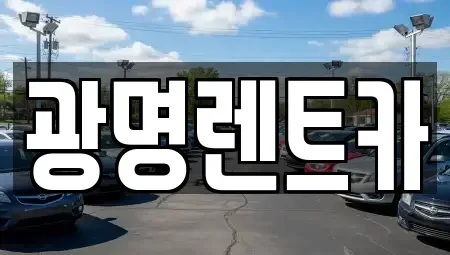 경북 포항시 북구 신흥동 렌트카 전문 광명렌트카