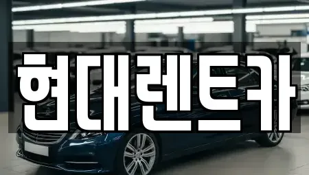 경북 포항시 북구 신흥동 렌트카 전문 현대렌트카