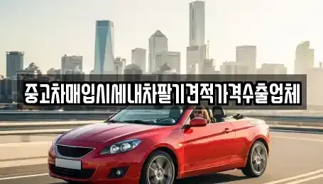 경북 포항시 북구 항구동 중고차매입 전문 중고차매입시세내차팔기견적가격수출업체