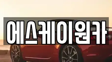경상남도 김해시 지내동 중고차 전문 에스케이원카