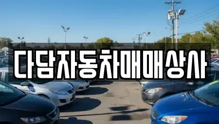 경상남도 김해시 지내동 중고차매입 전문 다담자동차매매상사