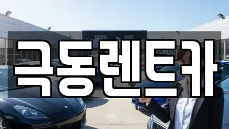경상남도 밀양시 교동 렌트카 전문 극동렌트카