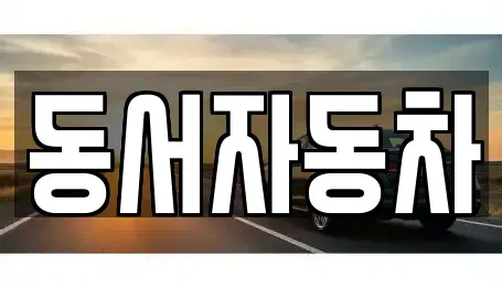 경상남도 밀양시 교동 중고차 전문 동서자동차