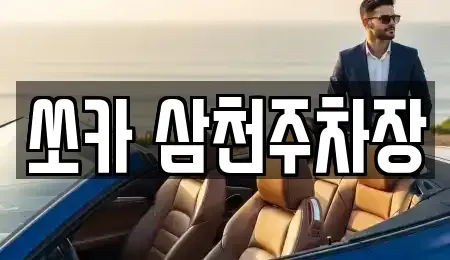 경상남도 밀양시 활성동 렌트카 전문 쏘카 삼천주차장