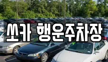 경상남도 밀양시 활성동 렌트카 전문 쏘카 행운주차장