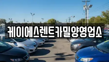 경상남도 밀양시 활성동 렌트카 전문 케이에스렌트카밀양영업소