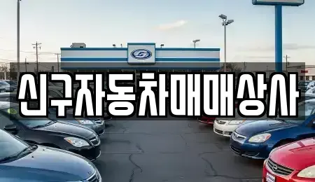 경상남도 사천시 사남면 중고차 전문 신구자동차매매상사