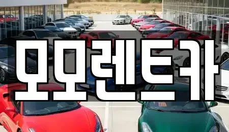 경상남도 양산시 주남동 렌트카 전문 모모렌트카