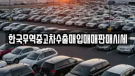경상남도 진주시 초전동 중고차매입 전문 한국무역중고차수출매입매매판매시세