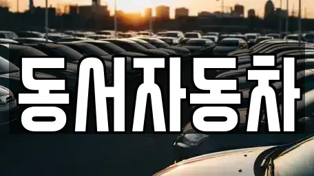 경상남도 창원시 마산합포구 남성동 중고차 전문 동서자동차