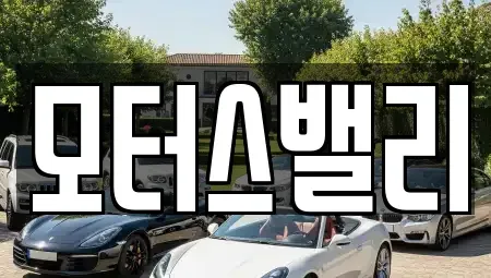 경상남도 창원시 마산합포구 남성동 중고차 전문 모터스밸리