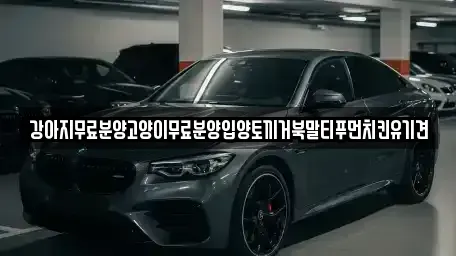 경상남도 창원시 마산합포구 대창동 중고차매입 전문 강아지무료분양고양이무료분양입양토끼거북말티푸먼치킨유기견