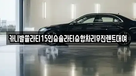 경상남도 창원시 마산합포구 월남동1가 렌트카 전문 카니발쏠라티15인승솔라티승합차리무진렌트대여