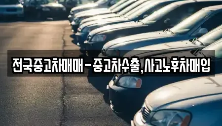 경상남도 창원시 마산합포구 월남동1가 중고차 전문 전국중고차매매-중고차수출,사고노후차매입