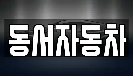 경상남도 창원시 마산합포구 월포동 중고차매매 전문 동서자동차