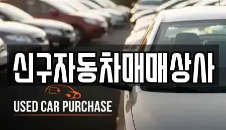 경상남도 창원시 마산합포구 월포동 중고차매매 전문 신구자동차매매상사
