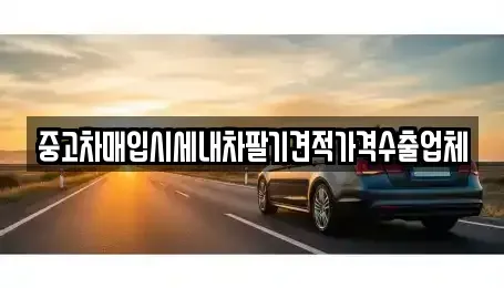 경상남도 창원시 마산합포구 월포동 중고차매입 전문 중고차매입시세내차팔기견적가격수출업체