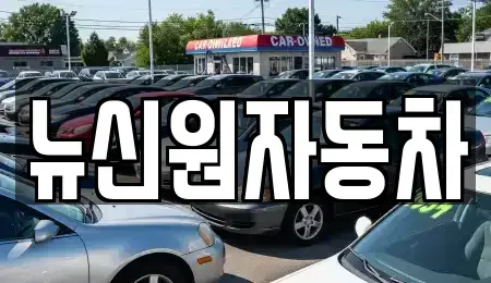 경상남도 창원시 마산회원구 내서읍 중고차매매 전문 뉴신원자동차