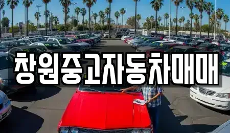 경상남도 창원시 마산회원구 내서읍 중고차매매 전문 창원중고자동차매매