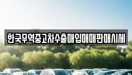 경상남도 창원시 성산구 반송동 중고차매입 전문 한국무역중고차수출매입매매판매시세