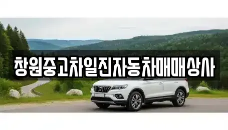 경상남도 창원시 의창구 서상동 중고차매매 전문 창원중고차일진자동차매매상사