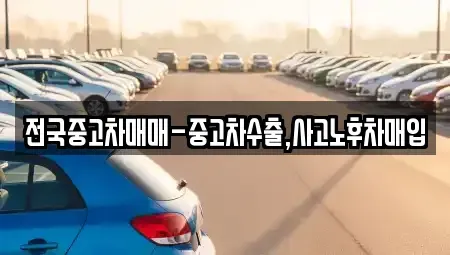 경상남도 창원시 의창구 서상동 중고차매입 전문 전국중고차매매-중고차수출,사고노후차매입