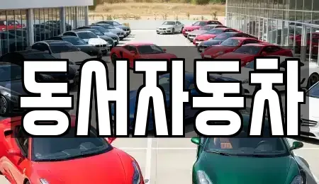 경상남도 창원시 진해구 숭인동 중고차매매,단기렌트카,중고차매입,장기렌트카,중고차,렌트카