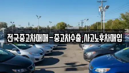 경상남도 창원시 진해구 숭인동 중고차매입 전문 전국중고차매매-중고차수출,사고노후차매입