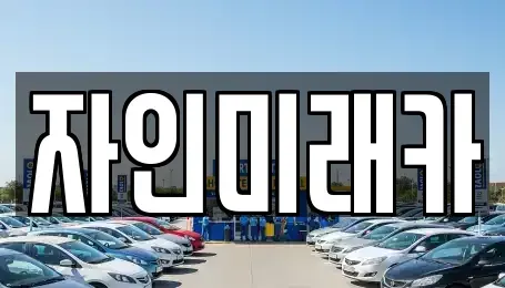 경상북도 경산시 자인면 중고차 전문 자인미래카