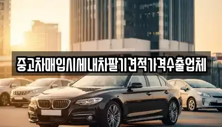 경상북도 경산시 자인면 단기렌트카,중고차매입,중고차매매,중고차,렌트카,장기렌트카