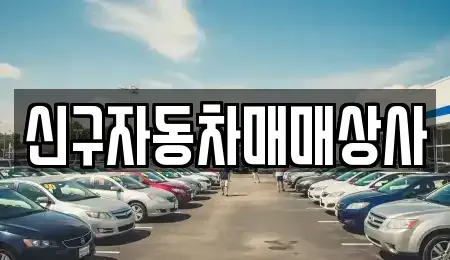 경상북도 경주시 동부동 중고차 전문 신구자동차매매상사