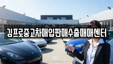 경상북도 경주시 동부동 중고차매입 전문 김프로중고차매입판매수출매매센터