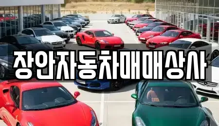 경상북도 경주시 동천동 중고차매매 전문 장안자동차매매상사