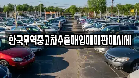 경상북도 경주시 동천동 중고차매매,단기렌트카,중고차매입,장기렌트카,중고차,렌트카