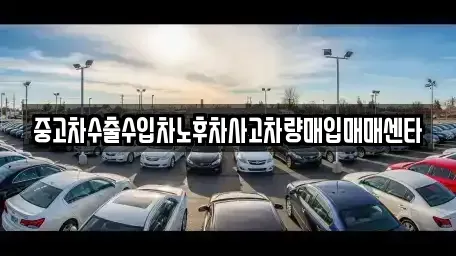 경상북도 경주시 동천동 중고차매입 전문 중고차수출수입차노후차사고차량매입매매센타