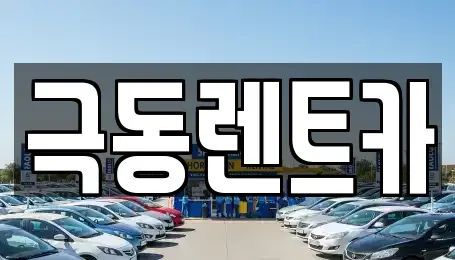 경상북도 경주시 외동읍 렌트카 전문 극동렌트카