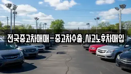 경상북도 경주시 외동읍 중고차 전문 전국중고차매매-중고차수출,사고노후차매입