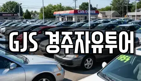 경상북도 경주시 충효동 렌트카 전문 GJS 경주자유투어