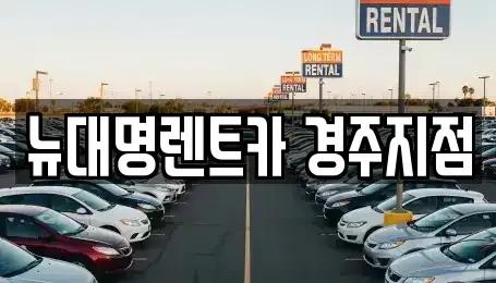 경상북도 경주시 충효동 렌트카 전문 뉴대명렌트카 경주지점