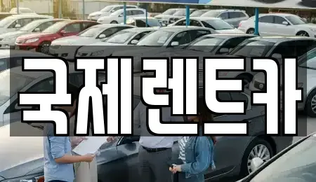 경상북도 구미시 금전동 렌트카 전문 국제렌트카