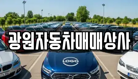 경상북도 구미시 상모동 중고차매매 전문 광원자동차매매상사