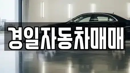 경상북도 구미시 옥계동 중고차매매 전문 경일자동차매매