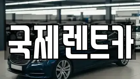 경상북도 구미시 형곡동 렌트카 전문 국제렌트카