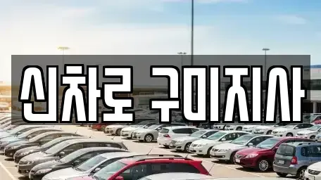 경상북도 구미시 형곡동 렌트카 전문 신차로 구미지사
