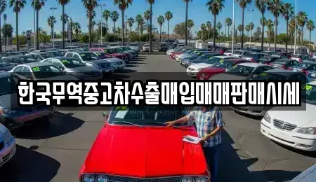 경상북도 구미시 형곡동 중고차 전문 한국무역중고차수출매입매매판매시세