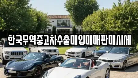 경상북도 상주시 남성동 중고차 전문 한국무역중고차수출매입매매판매시세